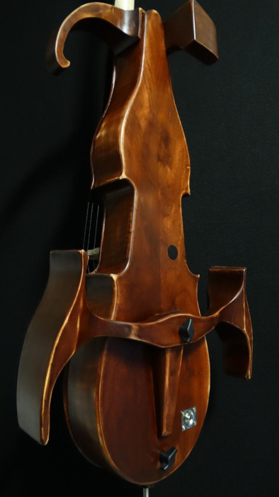 particolare10violoncello