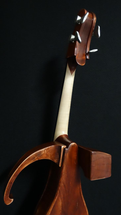 particolare11violoncello