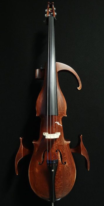 particolare1violoncello