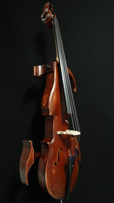 particolare2violoncello