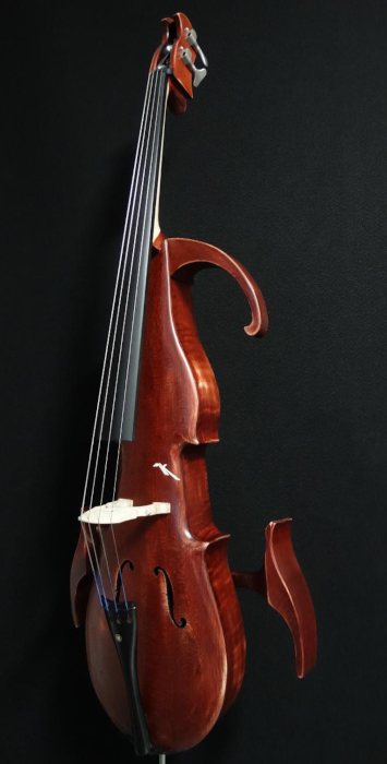 particolare3violoncello