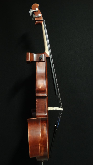 particolare4violoncello