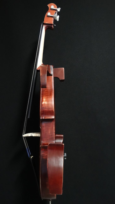 particolare5violoncello