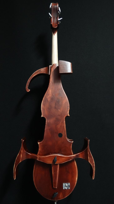 particolare6violoncello