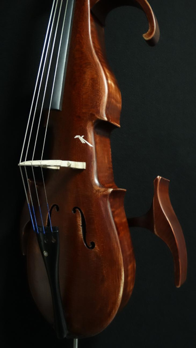 particolare8violoncello