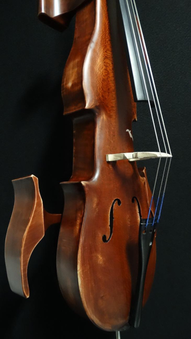 particolare9violoncello