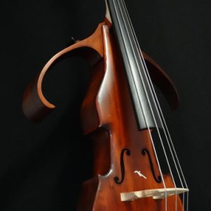 THE DOUBLE BASS Studio-Up passive (Copia)